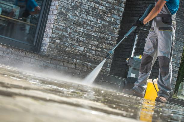 Best Gutter Cleaning  in Downey, CA